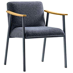 Carell chair price